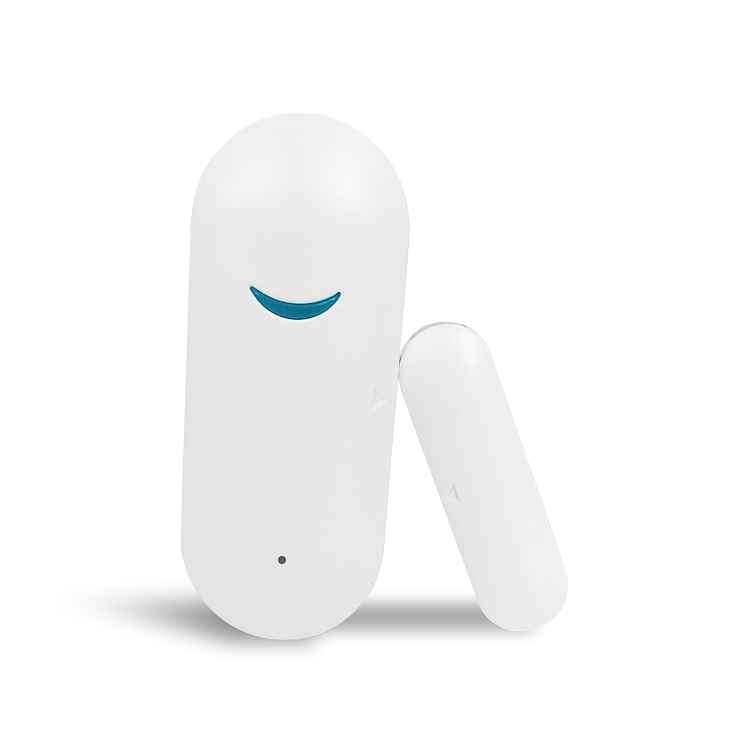 Door and Window Alarm