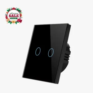 2 Gang Tuya Control Wifi Smart Switch 1